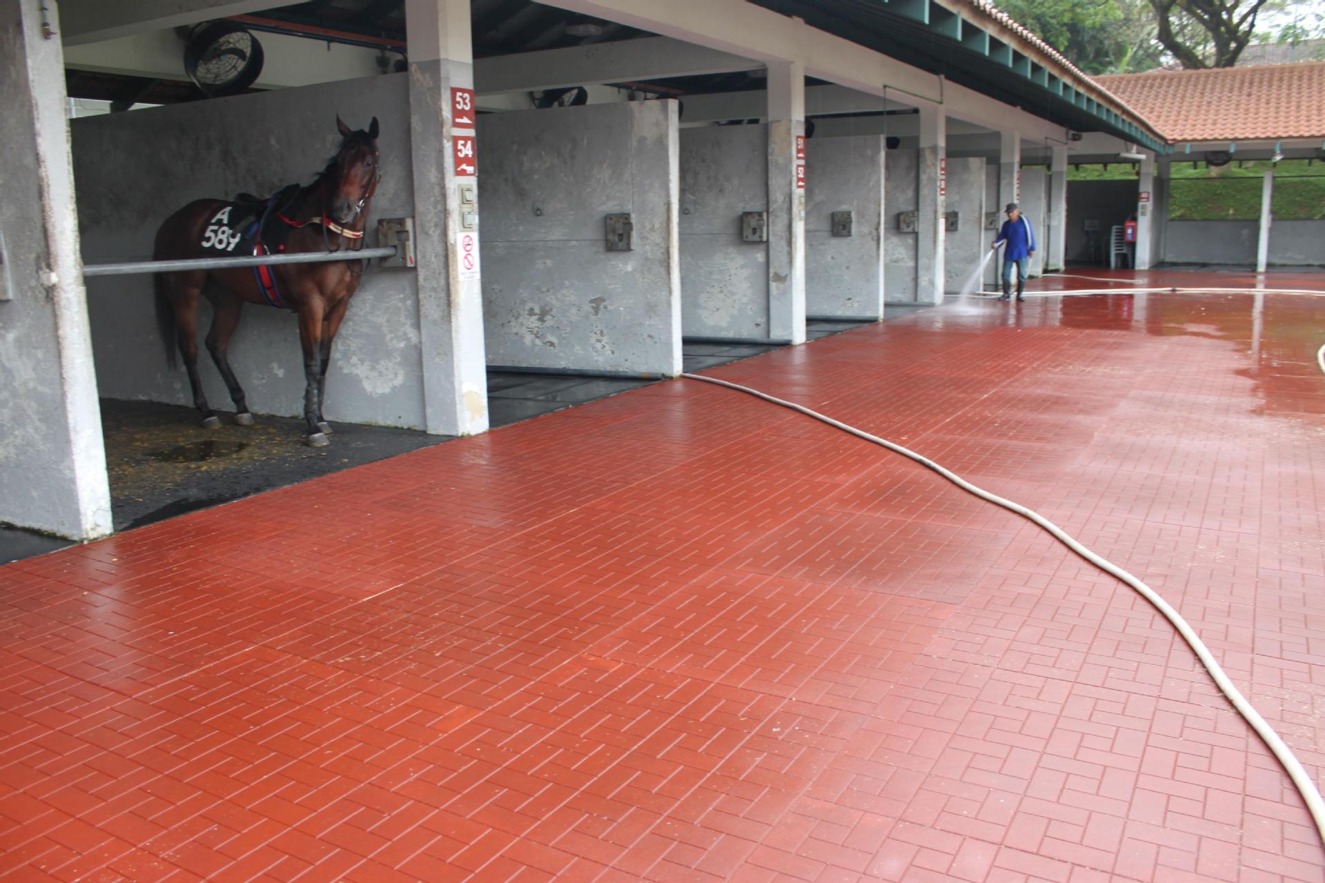 rubber tiles for horse stall
